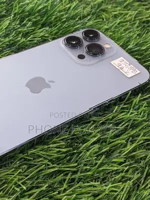 Apple iPhone 13 Pro Max (Used)