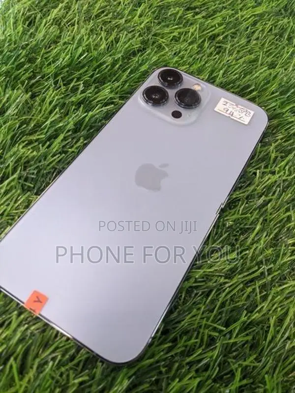 Apple iPhone 13 Pro Max (Used)