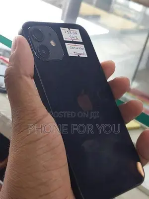 Apple iPhone 12 (Used)