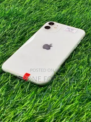 Apple iPhone 11 (Used)