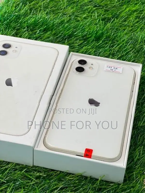 Apple iPhone 11 (Used)