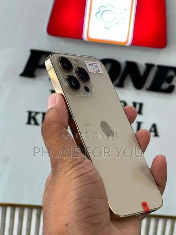 Apple iPhone 13 Pro (Used)