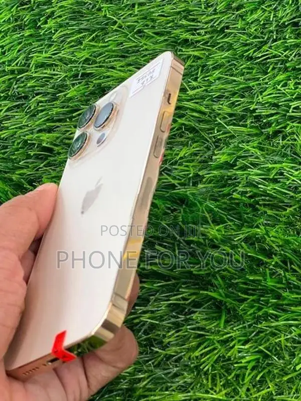 Apple iPhone 13 Pro (Used)
