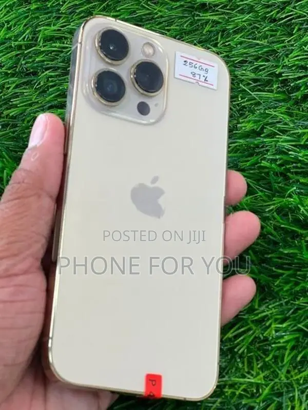 Apple iPhone 13 Pro (Used)
