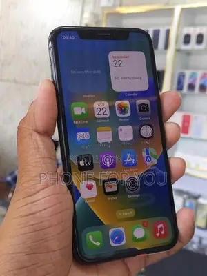 Apple iPhone X (Used)