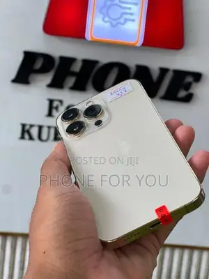 Apple iPhone 13 Pro (Used)