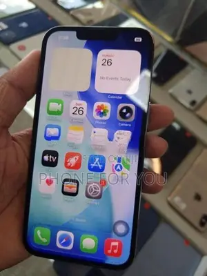 Apple iPhone 13 Pro (Used)