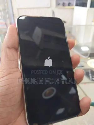 Apple iPhone 11 (Used)