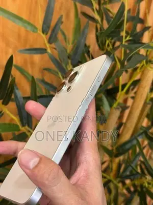 Apple iPhone 15 Pro Max 256GB (Used)