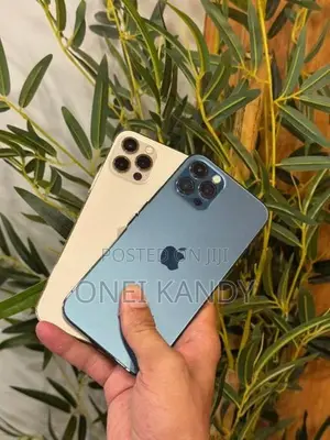 Apple iPhone 12 Pro 256GB (Used)