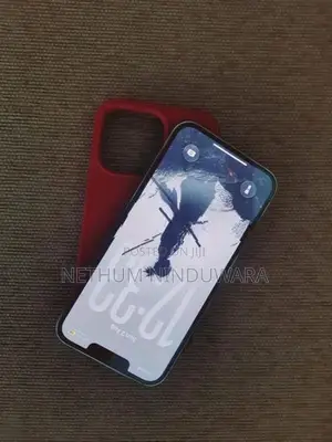 Apple iPhone 13 Pro (Used)