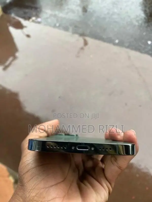Apple iPhone 13 Pro Max 256GB (Used)