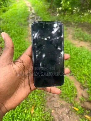 Apple iPhone 12 Pro (Used)
