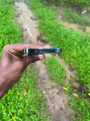 Apple iPhone 12 Pro (Used)