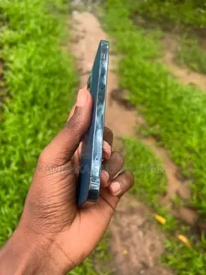 Apple iPhone 12 Pro (Used)