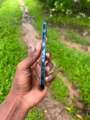 Apple iPhone 12 Pro (Used)