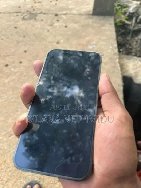 Apple iPhone 13 Pro (Used)