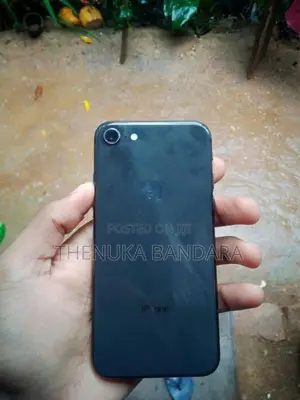Apple iPhone 8 64 (Used)