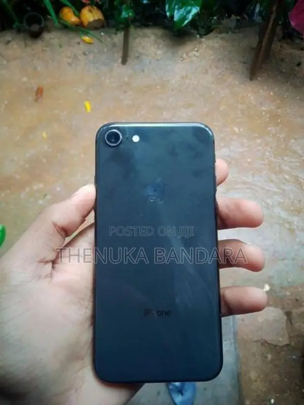 Apple iPhone 8 64 (Used)