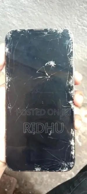 Apple iPhone 13 Pro Max (Used)
