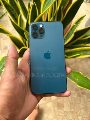 Apple iPhone 12 Pro (Used)