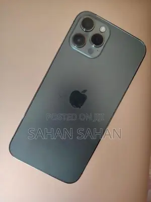 Apple iPhone 12 Pro Max 256gb (Used)