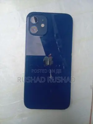 Apple iPhone 12 (Used)