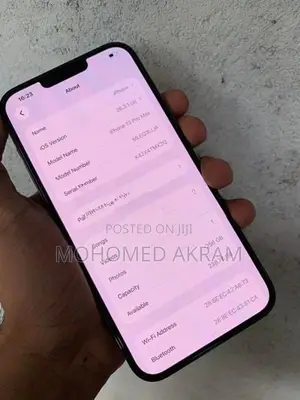 Apple iPhone 13 Pro Max 256GB (Used)