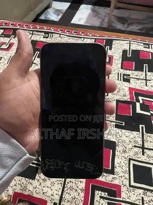 Apple iPhone 16 Pro Max (Used)