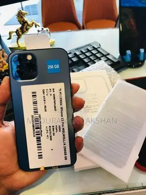 Apple iPhone 12 Pro (Used)