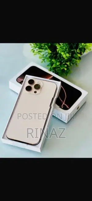 Apple iPhone 16 Pro Max 256gb (Used)
