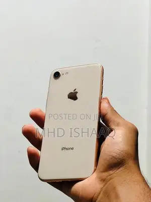 Apple iPhone 8 256GB (Used)