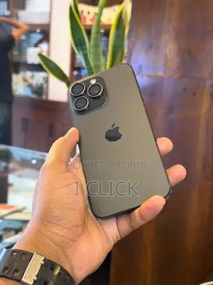 Apple iPhone 15 Pro Max 256GB (Used)