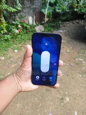 Apple iPhone 13 Pro Max (Used)