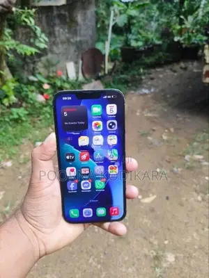 Apple iPhone 13 Pro Max (Used)