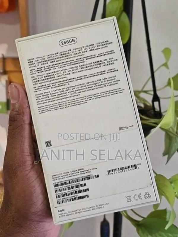 Apple iPhone 11 (Used)