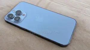 Apple iPhone 13 Pro 256GB (Used)