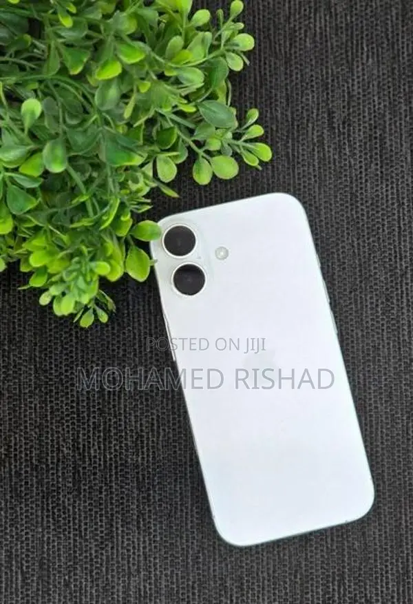 Apple iPhone 17 (Used)