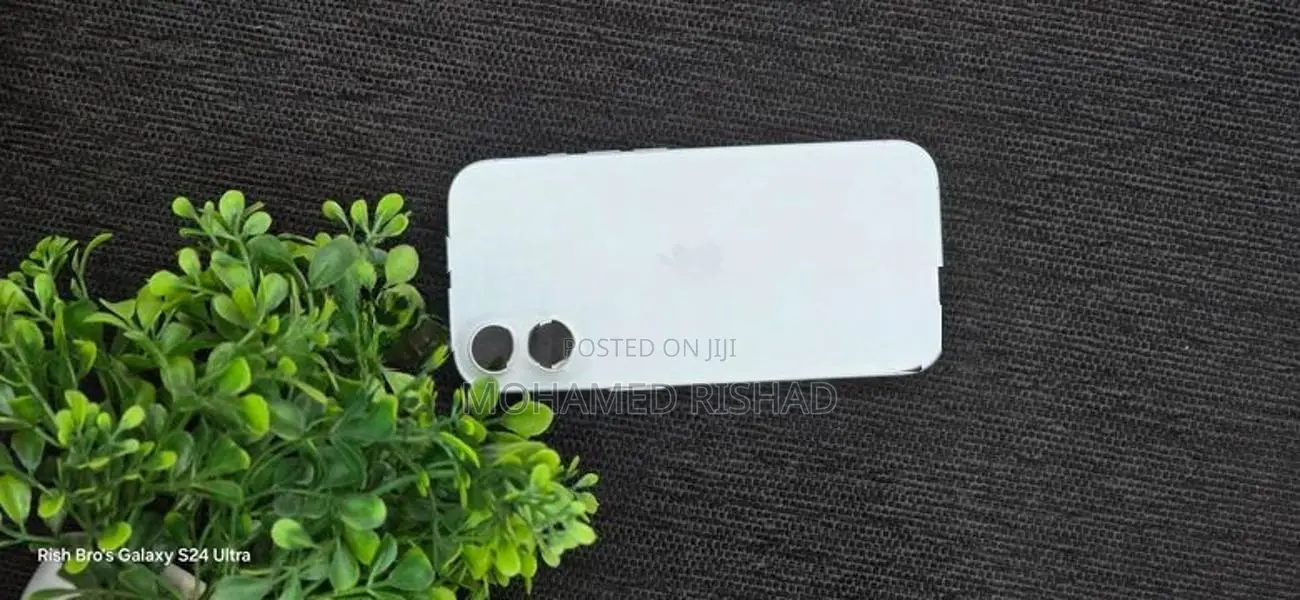 Apple iPhone 17 (Used)