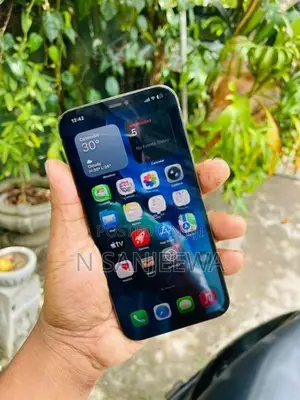 Apple iPhone 12 Pro Max 512GB (Used)