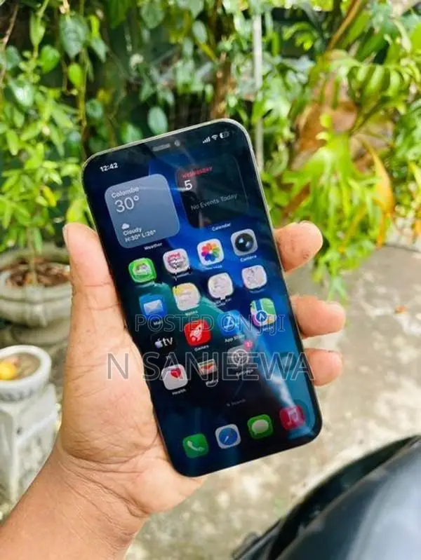 Apple iPhone 12 Pro Max 512GB (Used)