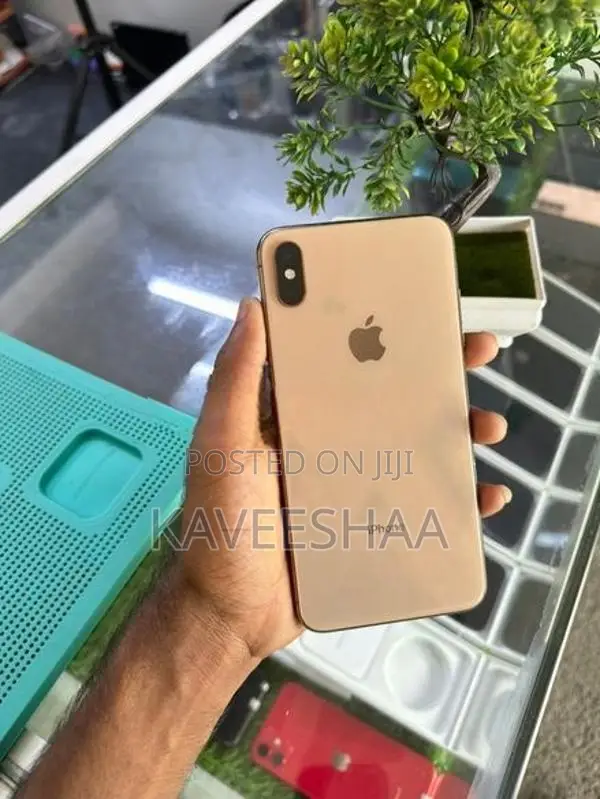 Apple iPhone XS Max 64gb (Used)
