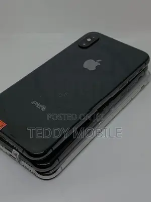 Apple iPhone XS 256GB (Used)