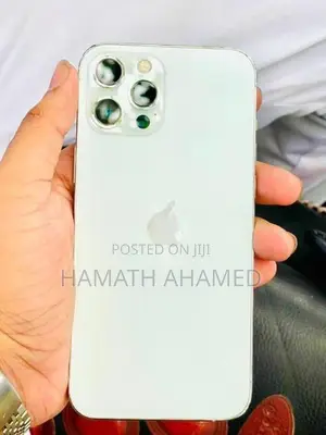 Apple iPhone 12 Pro Max (Used)
