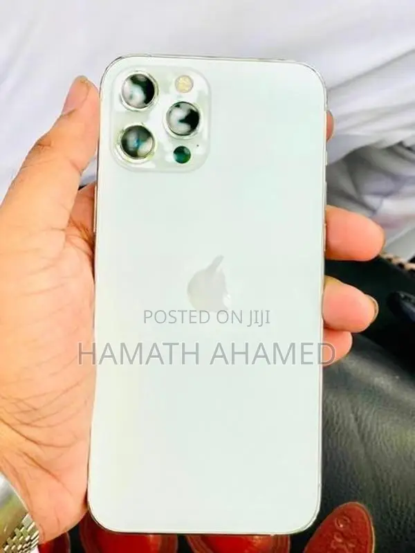 Apple iPhone 12 Pro Max (Used)