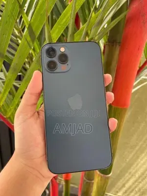Apple iPhone 12 Pro (Used)