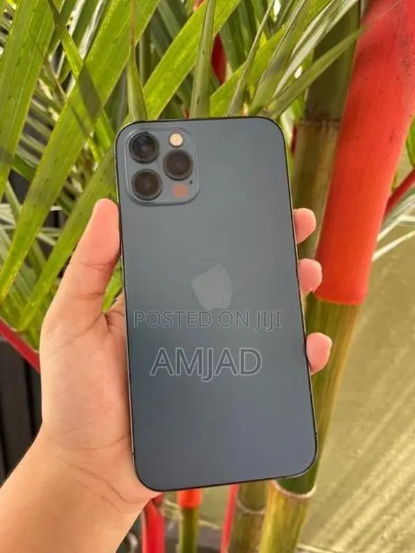 Apple iPhone 12 Pro (Used)