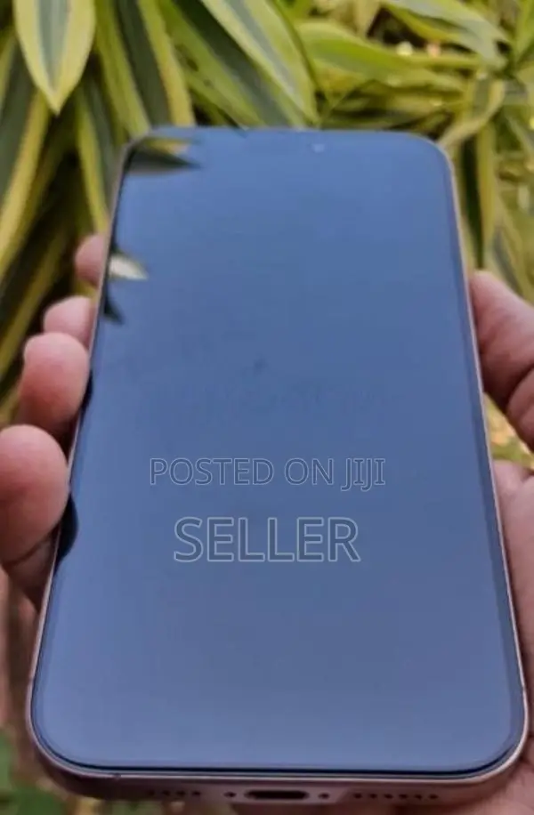 Apple iPhone 16 Pro Max 16pro (Used)