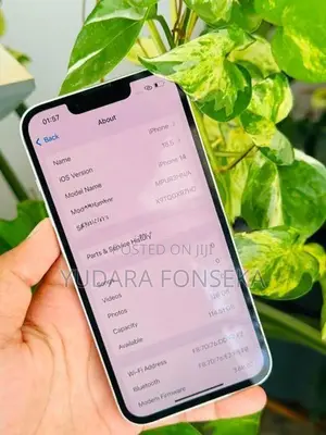 Apple iPhone 14 (Used)