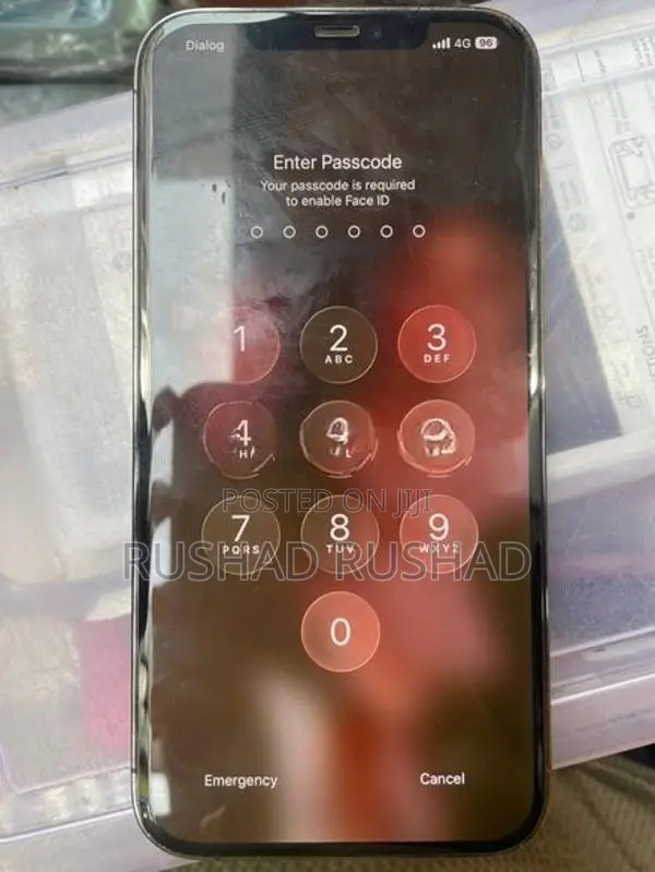 Apple iPhone 12 Pro Max (Used)